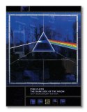 Pink Floyd (Dark Side Of The Moon, 30th Anniversary) - Obraz na płótnie