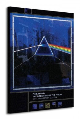 Pink Floyd (Dark Side Of The Moon, 30th Anniversary) - Obraz na płótnie