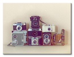 Camera Collection - Obraz na płótnie