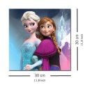 Frozen Anna and Elsa - Obraz na płótnie