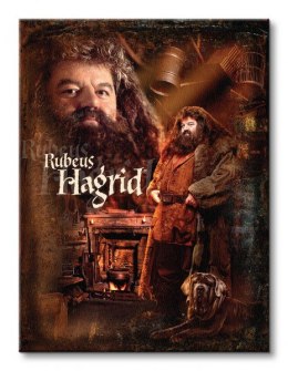 Harry Potter (Hagrid) - Obraz na płótnie