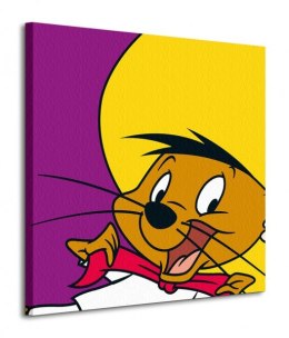 Looney Tunes (Speedy Gonzales) - Obraz na płótnie