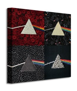 Pink Floyd (DSOTM Collections) - Obraz na płótnie