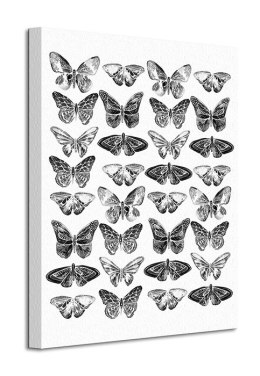 Butterflies - Obraz na płótnie