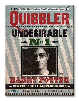 Harry Potter (Quibbler) - Obraz na płótnie