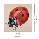 Ladybird - Obraz na płótnie