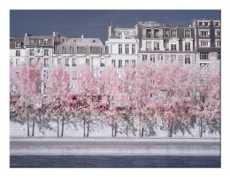 River Seine Infrared, Paris - Obraz na płótnie