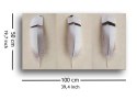 Egyptian Goose Feather Triptych - obraz na płótnie