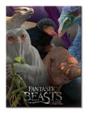 Fantastic Beasts (Escaped Beasts) - obraz na płótnie