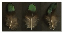 Green Peacock Feather Triptych - obraz na płótnie