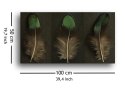 Green Peacock Feather Triptych - obraz na płótnie