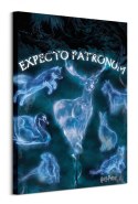 Harry Potter (Patronus) - obraz na płótnie