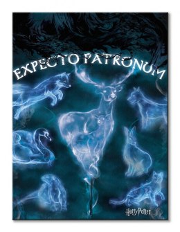 Harry Potter (Patronus) - obraz na płótnie