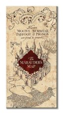 Harry Potter (The Marauders Map) - Obraz na płótnie