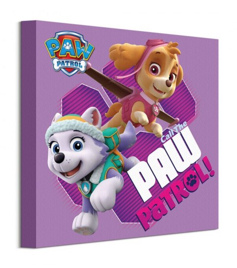 Psi Patrol Call The Paw Patrol - obraz na płótnie