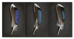 Sapphire Mallard Feather Triptych - obraz na płótnie