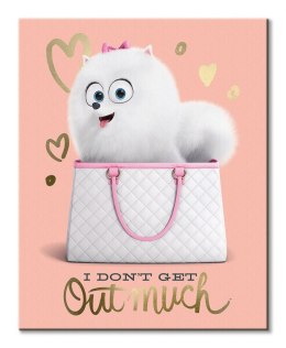 The Secret Life Of Pets (I Don'T Get Out Much) - Obraz na płótnie