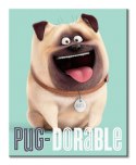 The Secret Life Of Pets (Pug-Dorable) - Obraz na płótnie