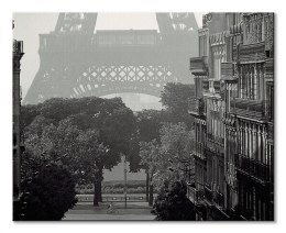 Eiffel Tower, Paris - obraz na płótnie