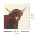 Highland Cow - obraz na płótnie
