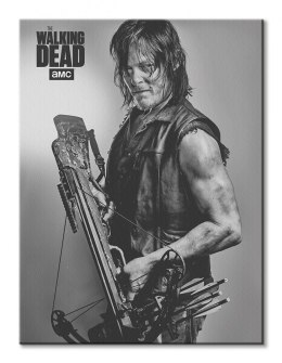 The Walking Dead Daryl - obraz na płótnie