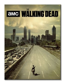 The Walking Dead Road - obraz na płótnie