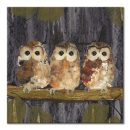 Three Tawny Owls - obraz na płótnie