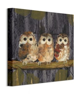 Three Tawny Owls - obraz na płótnie