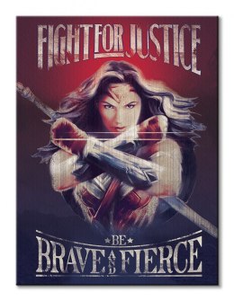 Wonder Woman Fight For Justice - obraz na płótnie