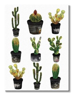 Cacti - Obraz na płótnie