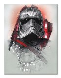 Gwiezdne Wojny Star Wars: The Last Jedi (Captain Phasma Brushstroke) - obraz na płótnie