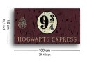 Harry Potter (Hogwarts Express) - Obraz na płótnie