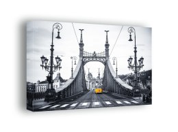 Budapeszt, most wolności - obraz na płótnie