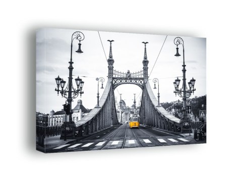 Budapeszt, most wolności - obraz na płótnie