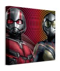 Marvel Ant-Man and The Wasp Trippy - obraz na płótnie