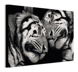 Sleeping Tigers - obraz na płótnie
