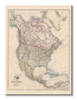 Stanfords Mapa Północnej Ameryki 1884 - obraz na płótnie