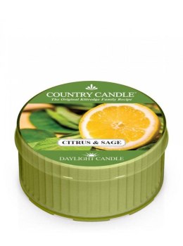 Country Candle - Citrus and Sage - Daylight (35g)