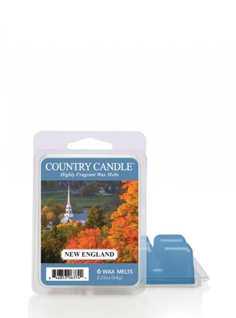 Country Candle - New England - Wosk zapachowy "potpourri" (64g)
