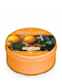 Kringle Candle - Iced Citrus - Świeczka zapachowa - Daylight (42g)