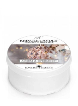 Kringle Candle - Aurum & Evergreen - Świeczka zapachowa - Daylight (42g)