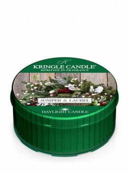 Kringle Candle - Juniper & Laurel - Świeczka zapachowa - Daylight (42g)