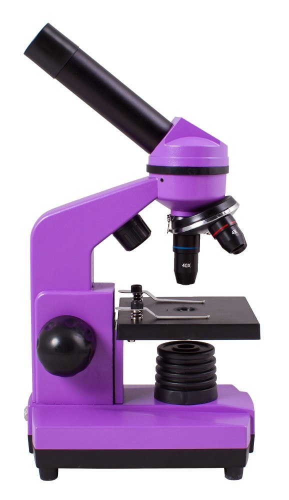 Mikroskop Levenhuk Rainbow 2L Amethyst\Ametyst