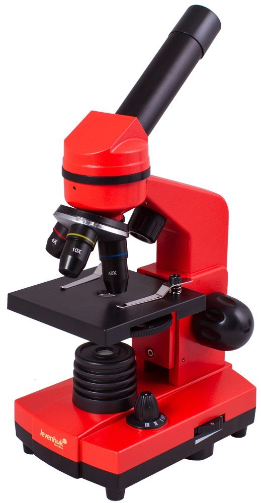 Mikroskop Levenhuk Rainbow 2L Orange\Pomarańcza