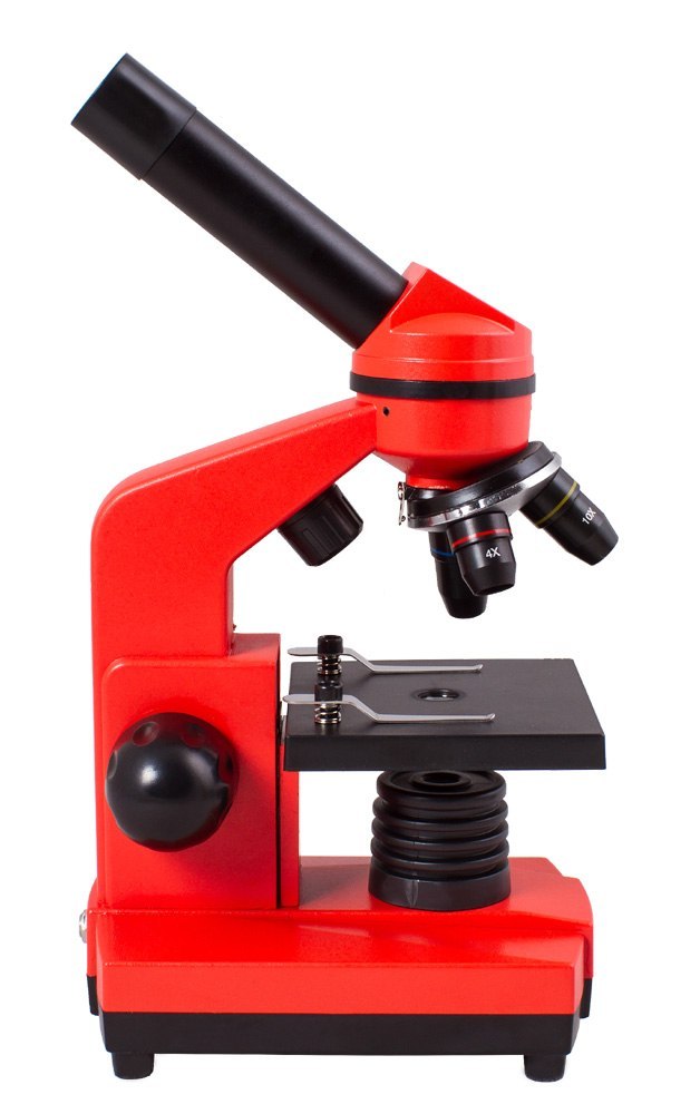 Mikroskop Levenhuk Rainbow 2L Orange\Pomarańcza