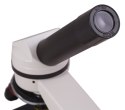 Mikroskop cyfrowy Levenhuk Rainbow D2L 0.3M, Moonstone\Kamień Księżycowy