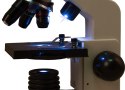 Mikroskop cyfrowy Levenhuk Rainbow D2L 0.3M, Moonstone\Kamień Księżycowy