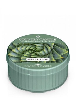 Country Candle - Spiral Aloe - Daylight (42g)