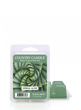 Country Candle - Spiral Aloe - Wosk zapachowy 
