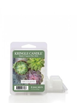 Kringle Candle - Succulents - Wosk zapachowy 